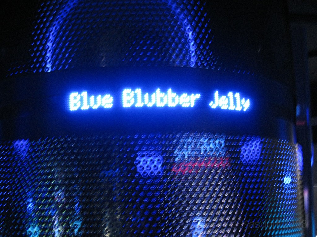 Baltimore MD 2009 0898.jpg - A 4th of July trip to Washington DC in 2009 included a stop in Baltimore MD to see the National Aquarium.